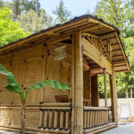 Suite Bambou Bien-Etre A Bali - Le Soleil Des Cevennes 생장뒤가르 외부 사진